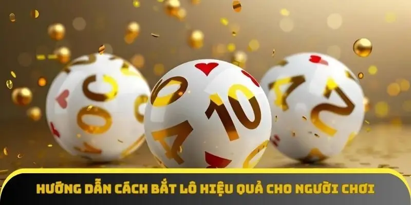 Hướng dẫn cách bắt bạch thủ lô hiệu quả cho người chơi mới