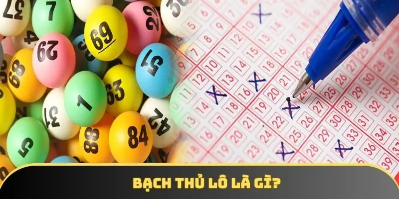 Bạch thủ lô là gì? Tìm hiểu cách chơi và mẹo cần biết
