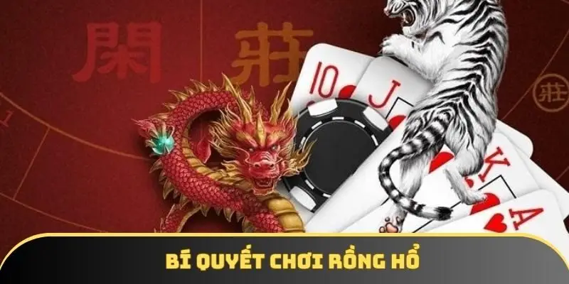 Chơi rồng hổ cần có bí quyết 