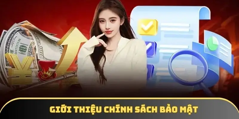 Sơ lược chính sách bảo mật