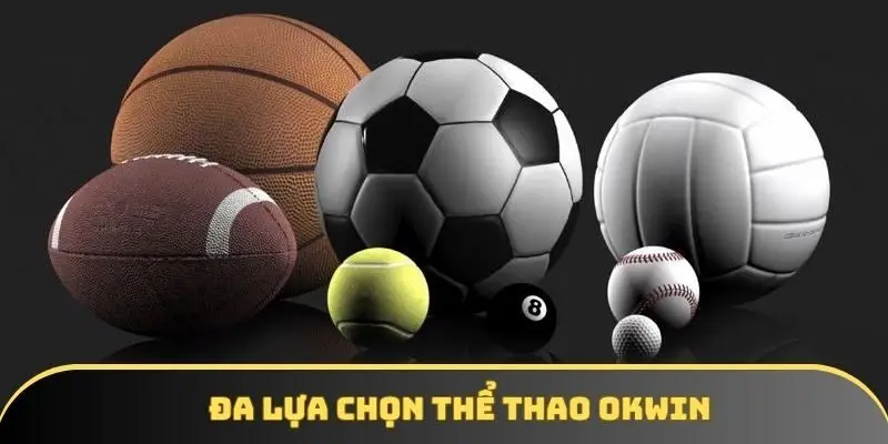Đa lựa chọn bộ môn thể thao để tham gia giải trí