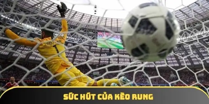 Sức hút của bet rung đến từ các trạng thái cung bậc cảm xúc khác nhau