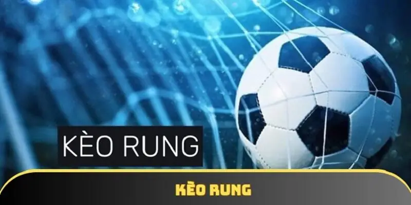Kèo rung | Những điều cần biết trước khi nhồi rung 2025