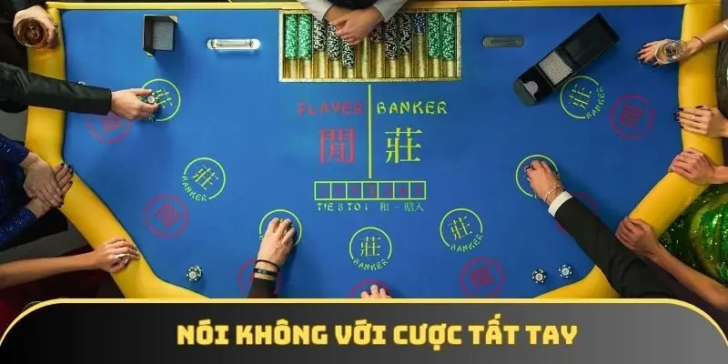 Tuyệt đối không mạo hiểm với tất tay