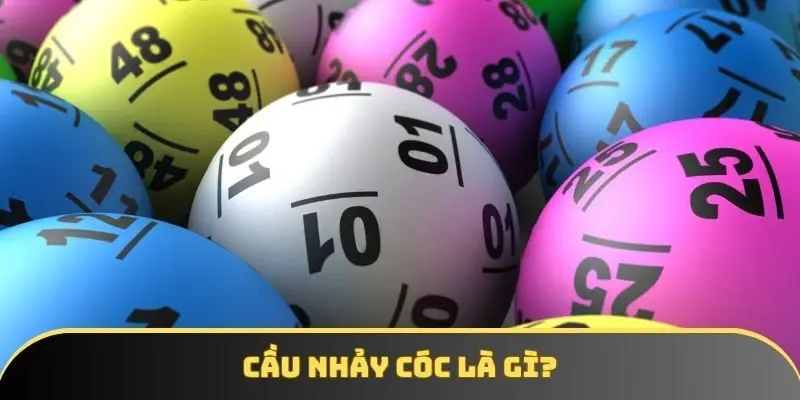 Sơ lược cầu nhảy cóc là gì
