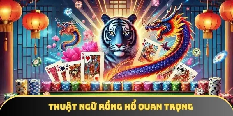 Thuật ngữ cơ bản và nâng cao khi chơi rồng hổ